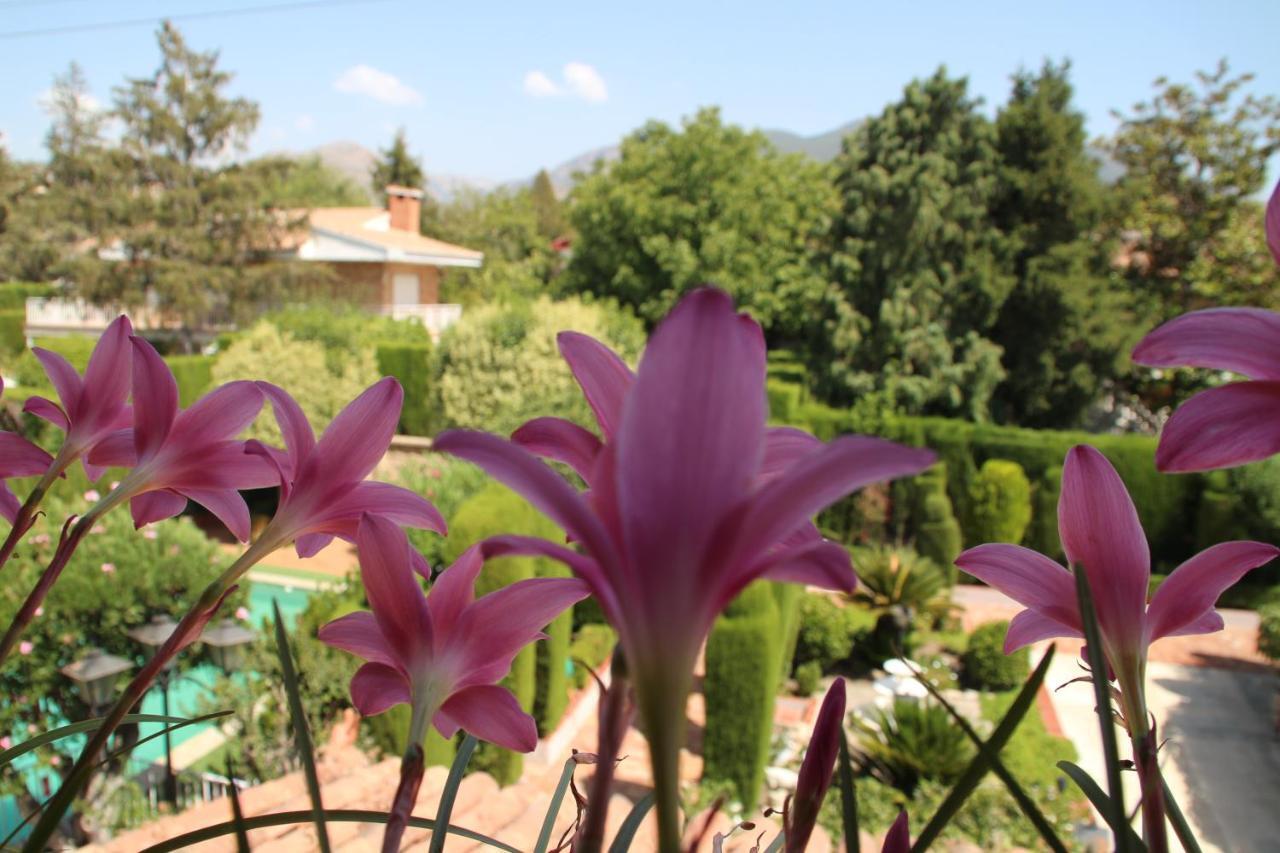 فيلا غرناطةفي El Jardin De La Abuela المظهر الخارجي الصورة