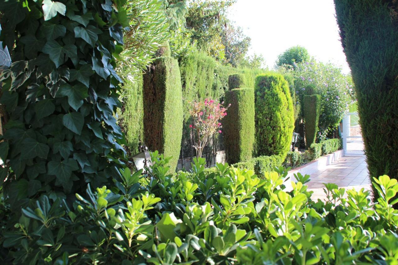 فيلا غرناطةفي El Jardin De La Abuela المظهر الخارجي الصورة