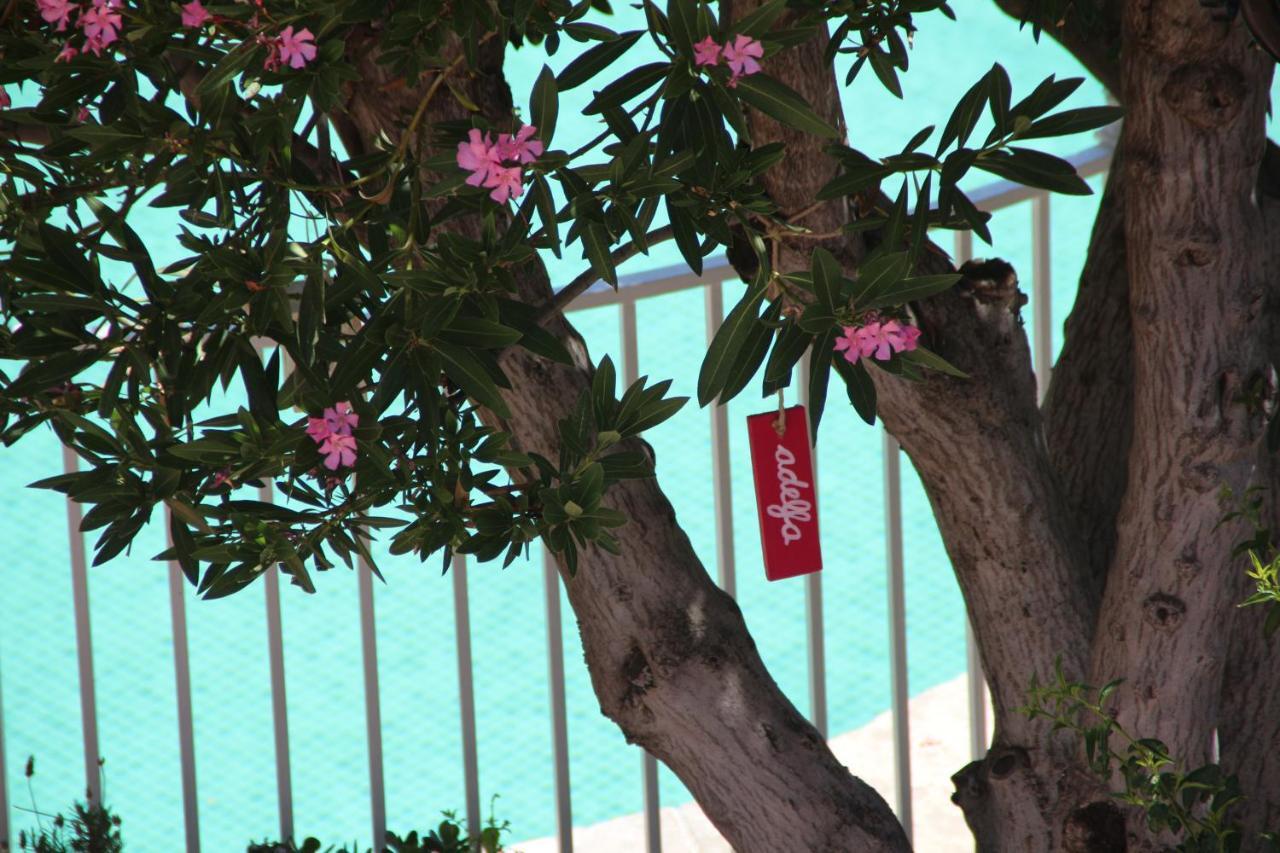 فيلا غرناطةفي El Jardin De La Abuela المظهر الخارجي الصورة