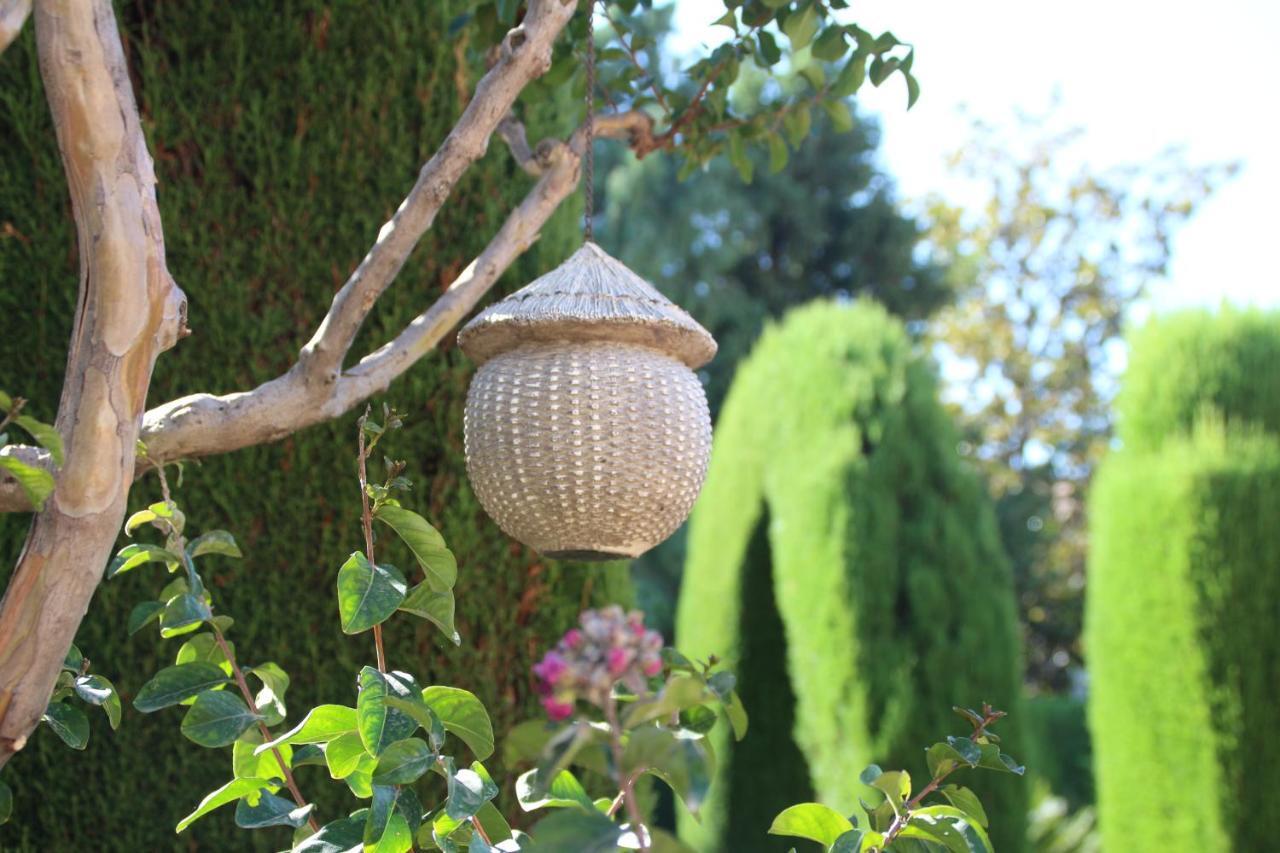 فيلا غرناطةفي El Jardin De La Abuela المظهر الخارجي الصورة